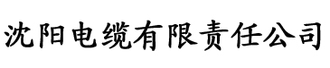 小蝌蚪污电缆厂logo